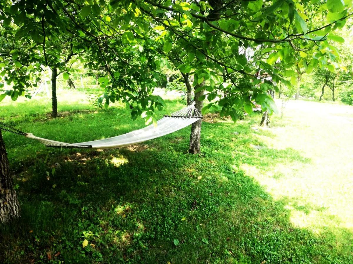 Apartman Nino Tounj Dış mekan fotoğraf